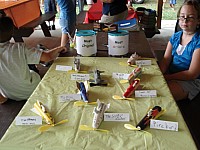 DSC00259.jpg