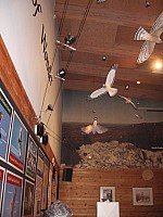 IMG_0014.jpg