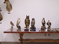 100_2177.jpg