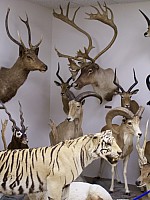 100_2178.jpg