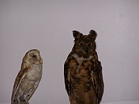 100_2227.jpg