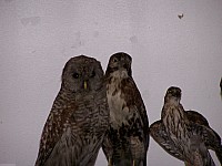 100_2229.jpg