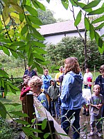 100_2238.jpg