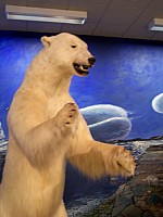 100_2253.jpg