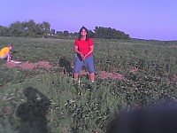 06-11-07_1849.jpg