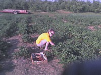 06-11-07_1850.jpg
