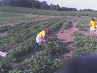 06-11-07_1853.jpg