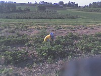 06-11-07_1854.jpg