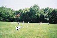 553604-R1-07-7A.jpg