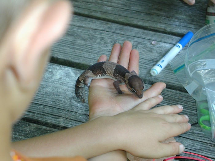 P8120044.jpg