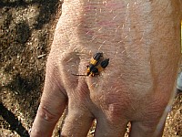 P8110007.jpg