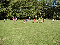 P8120025.jpg