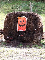 100_3799.jpg