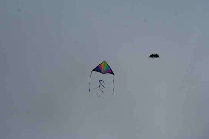 IMG_1448.jpg