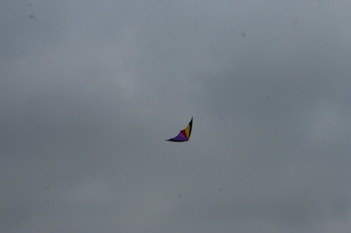 IMG_1452.jpg
