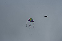 IMG_1448.jpg