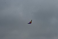 IMG_1452.jpg