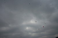 IMG_1462.jpg