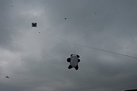 IMG_1470.jpg