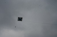 IMG_1471.jpg