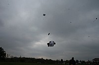 IMG_1477.jpg