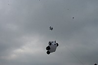 IMG_1478.jpg