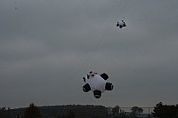 IMG_1481.jpg