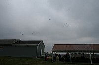 IMG_1485.jpg