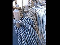 Slide7.jpg