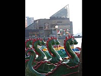 Slide9.jpg
