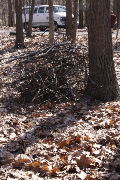 2009-04-CodorusCamping-052.jpg