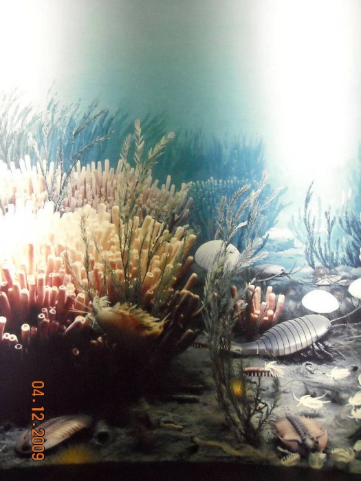 2009-PAStateMuseum-034.jpg