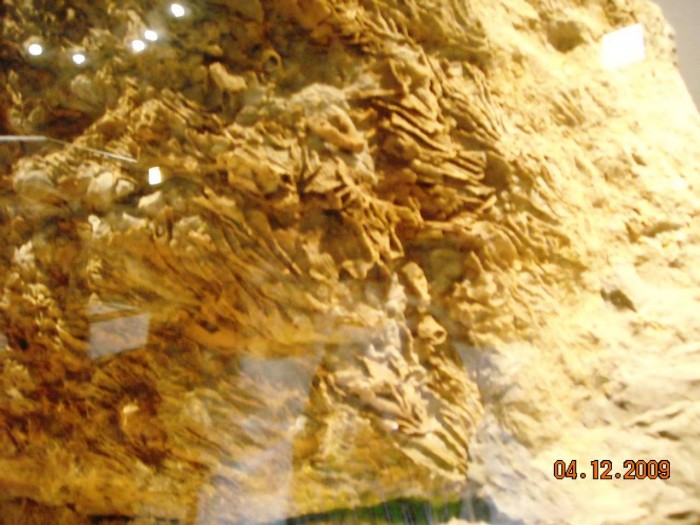 2009-PAStateMuseum-035.jpg