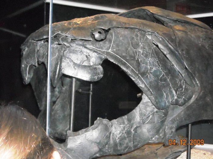 2009-PAStateMuseum-038.jpg