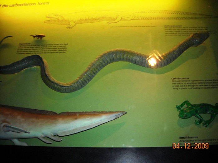 2009-PAStateMuseum-044.jpg