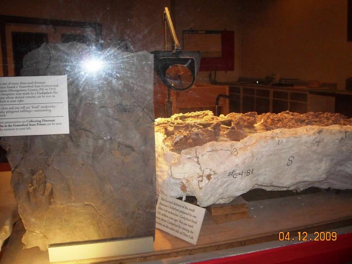 2009-PAStateMuseum-046.jpg