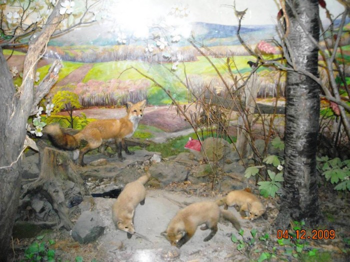 2009-PAStateMuseum-052.jpg
