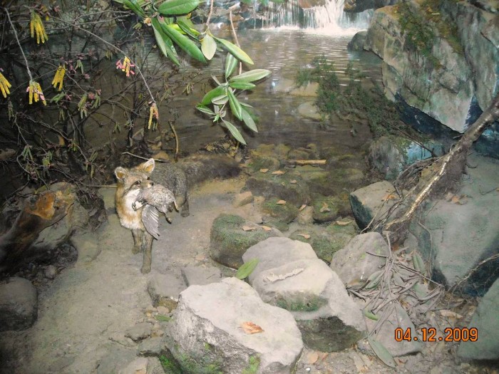 2009-PAStateMuseum-053.jpg