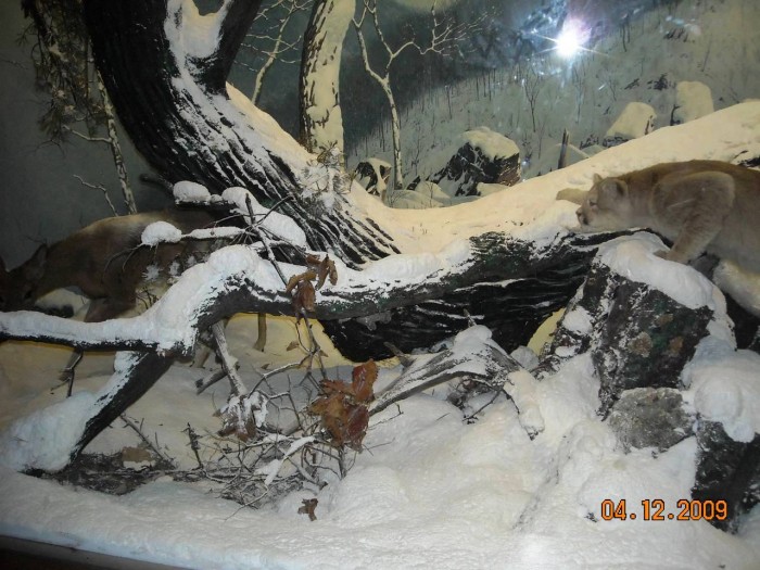 2009-PAStateMuseum-055.jpg