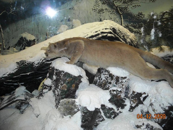 2009-PAStateMuseum-056.jpg