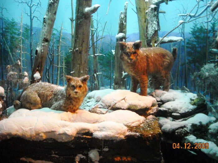 2009-PAStateMuseum-059.jpg