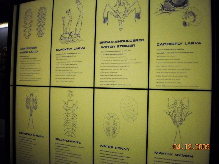 2009-PAStateMuseum-068.jpg