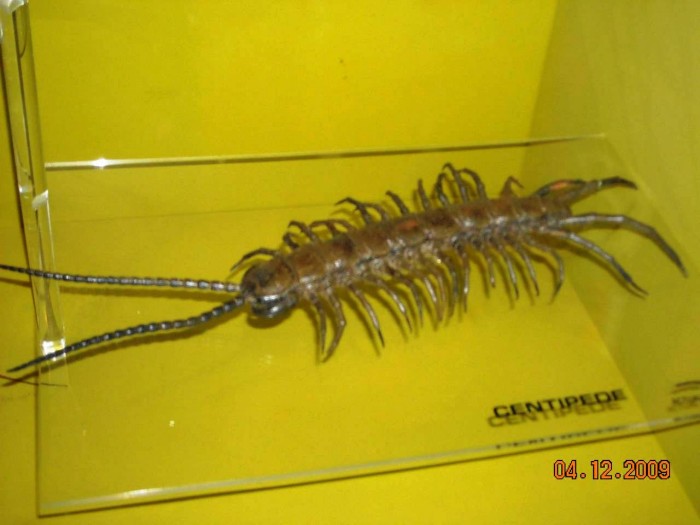 2009-PAStateMuseum-077.jpg