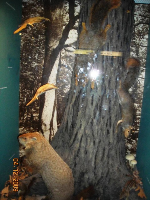 2009-PAStateMuseum-078.jpg