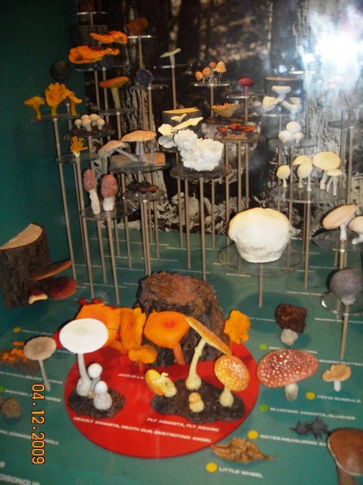 2009-PAStateMuseum-080.jpg