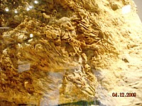 2009-PAStateMuseum-035.jpg