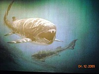 2009-PAStateMuseum-036.jpg