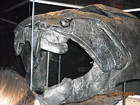 2009-PAStateMuseum-038.jpg