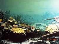 2009-PAStateMuseum-040.jpg