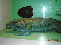 2009-PAStateMuseum-041.jpg